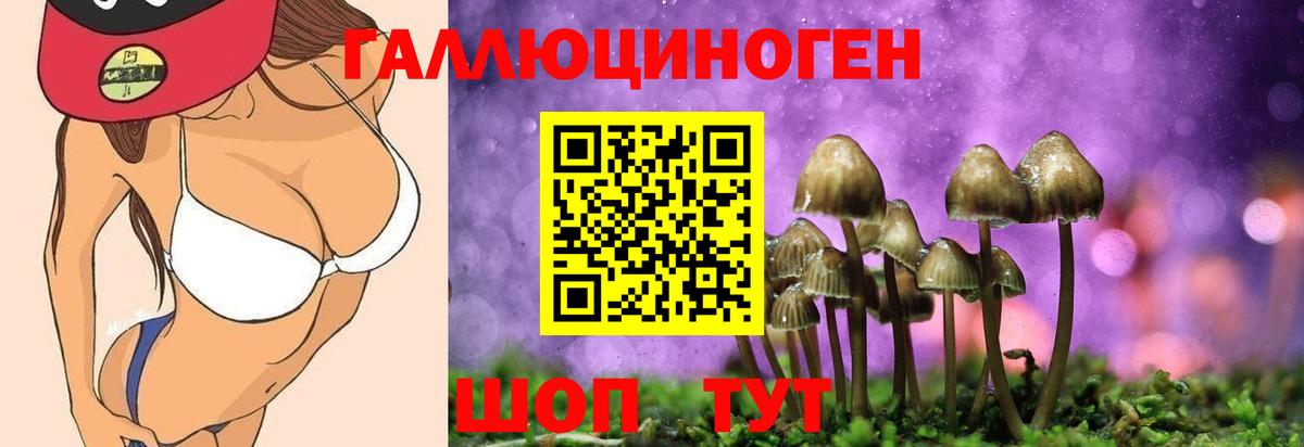 Псилоцибиновые грибы мицелий Спасск-Дальний